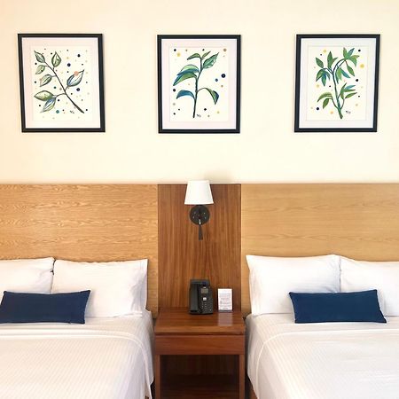 Hotel Plaza Rioverde Río Verde 외부 사진